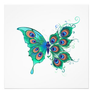 Butterfly with Green Peacock Feathers Photo Print