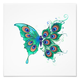 Butterfly with Green Peacock Feathers Photo Print