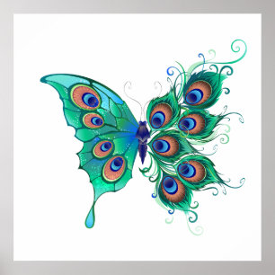 Butterfly with Green Peacock Feathers Poster