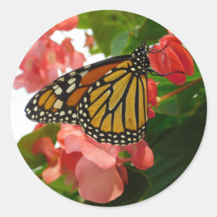 Butterfly with Red Flowers Classic Round Sticker