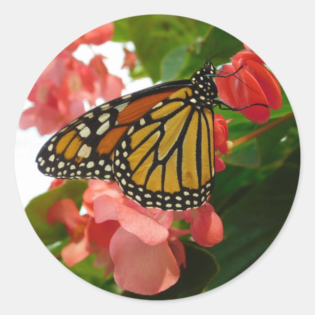 Butterfly with Red Flowers Classic Round Sticker (Front)
