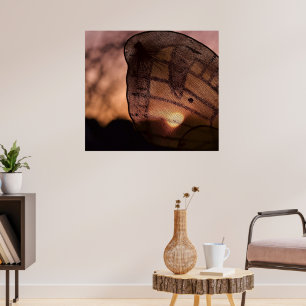 Butterfly with Sunset by Shirley Taylor Poster