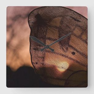 Butterfly with Sunset by Shirley Taylor Square Wall Clock