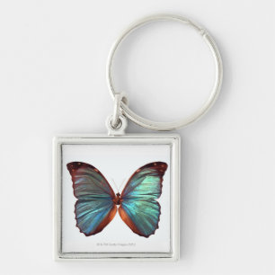 Butterfly with wings spread 2 key ring
