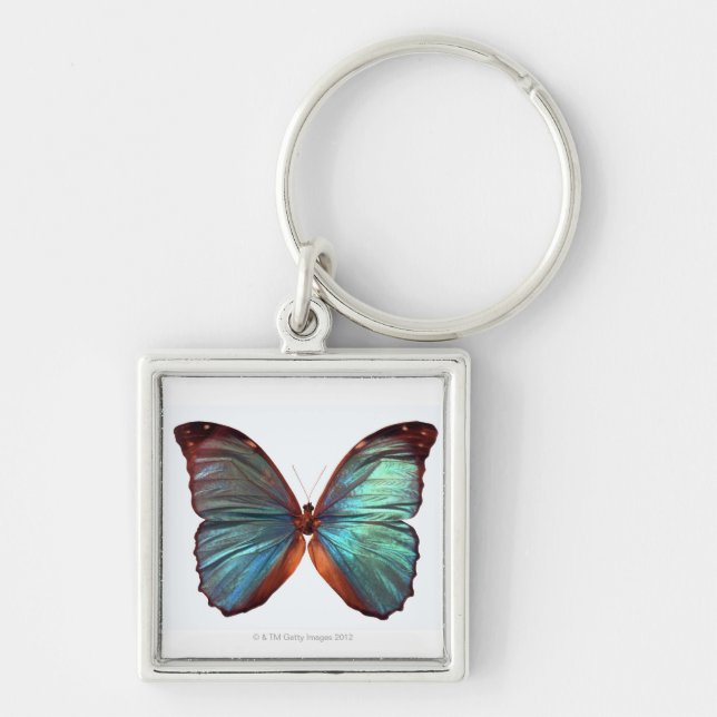 Butterfly with wings spread 2 key ring (Front)
