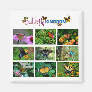 Butterfly World Magnet