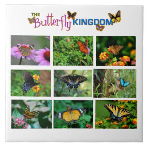 Butterfly World Tile