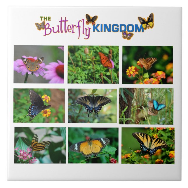 Butterfly World Tile (Front)
