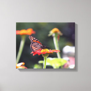 Butterfly Wrapped Canvas