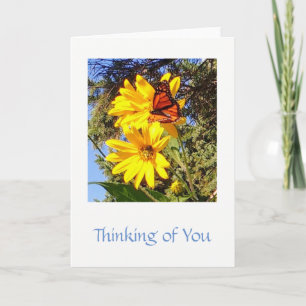 Butterfly, write your own note, letter or message card