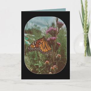 butterflys orange card