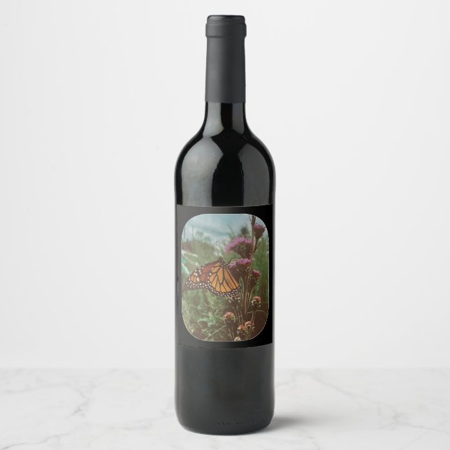 butterflys orange  wine label (Front)