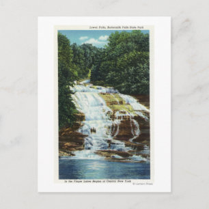 Buttermilk Farms State Park Lower Falls View Postcard