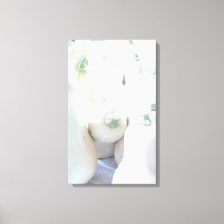 Butternut Squash Canvas Print