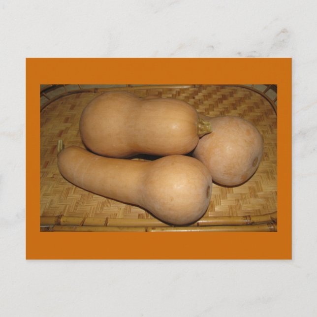 Butternut Squash Postcard (Front)