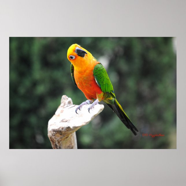 Butters II Poster (Front)