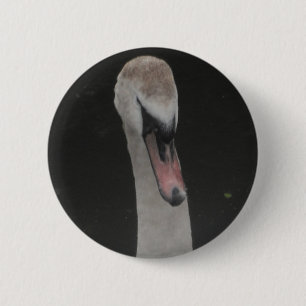 Button Baby Swan Face