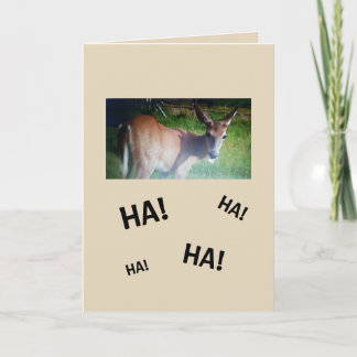 Button Buck Birthday Card