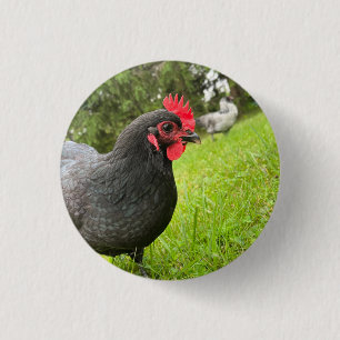 Button Cute Rooster 