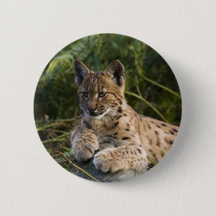 Button - lynx