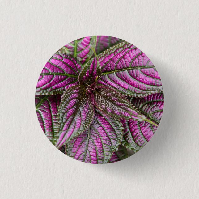 Button - Persian Shield (Front)
