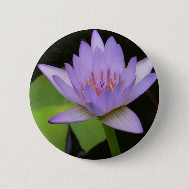 Button, Soft Lavender Water Lily  300 6 Cm Round Badge (Front)