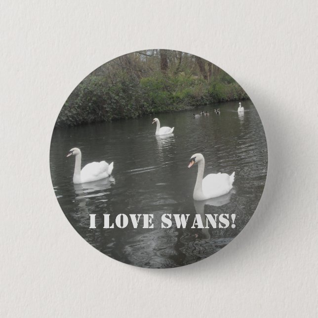 Button Swans Swimming, I Love Swans (Front)