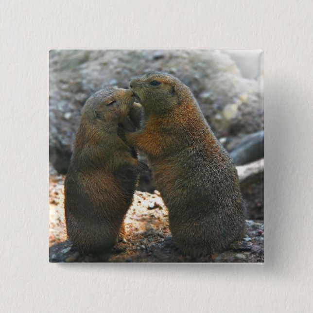 Button  with cute marmot couple (Front)