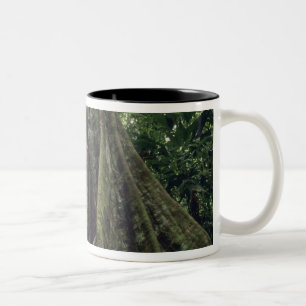 Buttressed tree in rainforest, Corcovado Two-Tone Coffee Mug