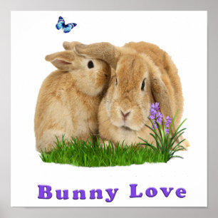 buuny love poster
