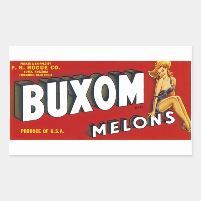 Buxom Mellons Rectangular Sticker (Front)