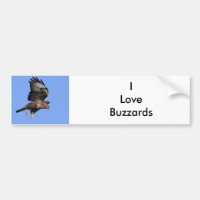 Buzzard 3