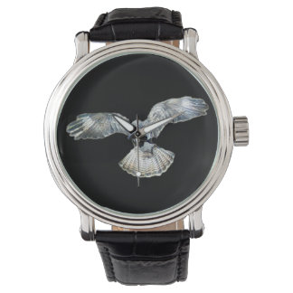 Buzzard Bird of Prey Wildlife Hovering Art Watch