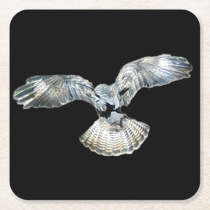 Buzzard Fanned Wings and Tail Landing Coaster