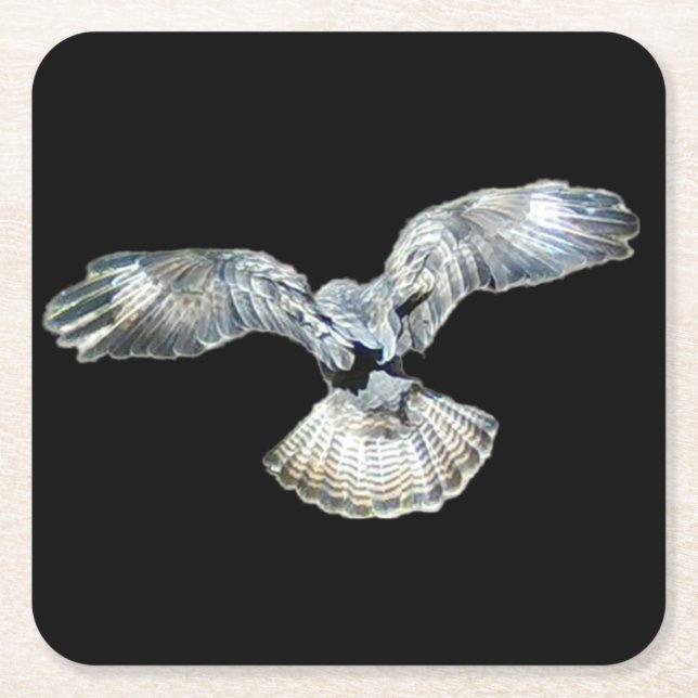 Buzzard Fanned Wings and Tail Landing Coaster (Front)