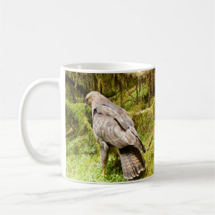 Buzzard looking for bugs to eat Mug
