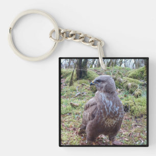 Buzzard Looking to the Right Key Ring