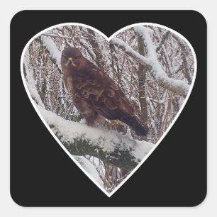 Buzzard on Snowy Branch in Heart Sticker