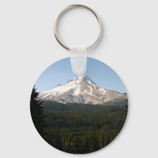 Buzzard Point View Key Ring