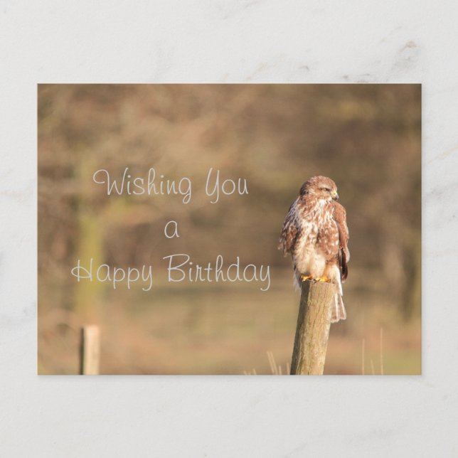 Buzzard Postcard (Front)