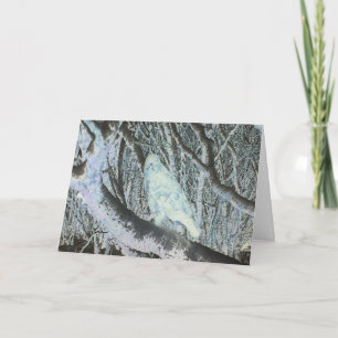 Buzzard Spooky Greetings Card Add Own Text
