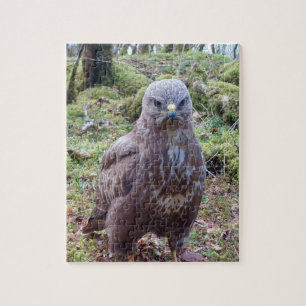 Buzzard With Attitude Jigsaw Puzzle