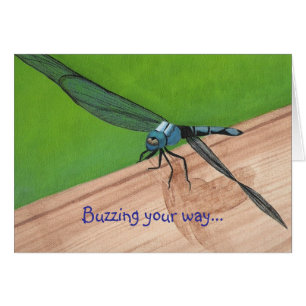Buzzing your way...dragonfly, cards