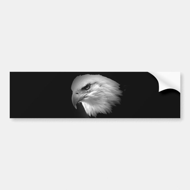 BW Bald Eagle Bumper Sticker (Front)