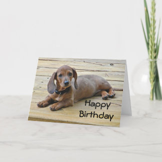 BW- Dachshund Puppy Birthday Card