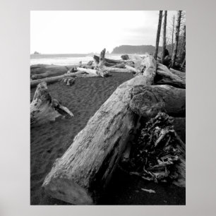 bw driftwood 2 poster