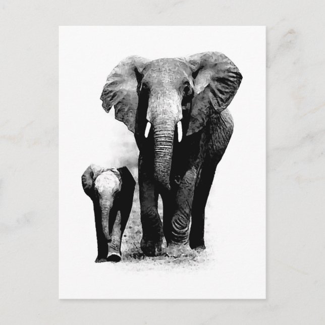 BW Elephant & Baby Elephant Postcard (Front)