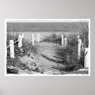 BW Fort Pierce, Florida beach walk dune roped off Poster