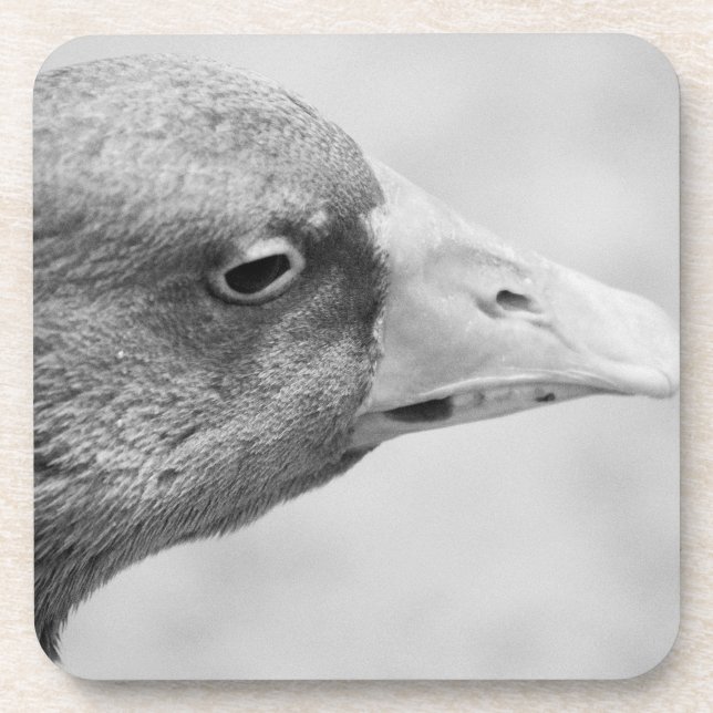 BW Goose Coaster (Front)