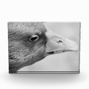 BW Goose Photo Block